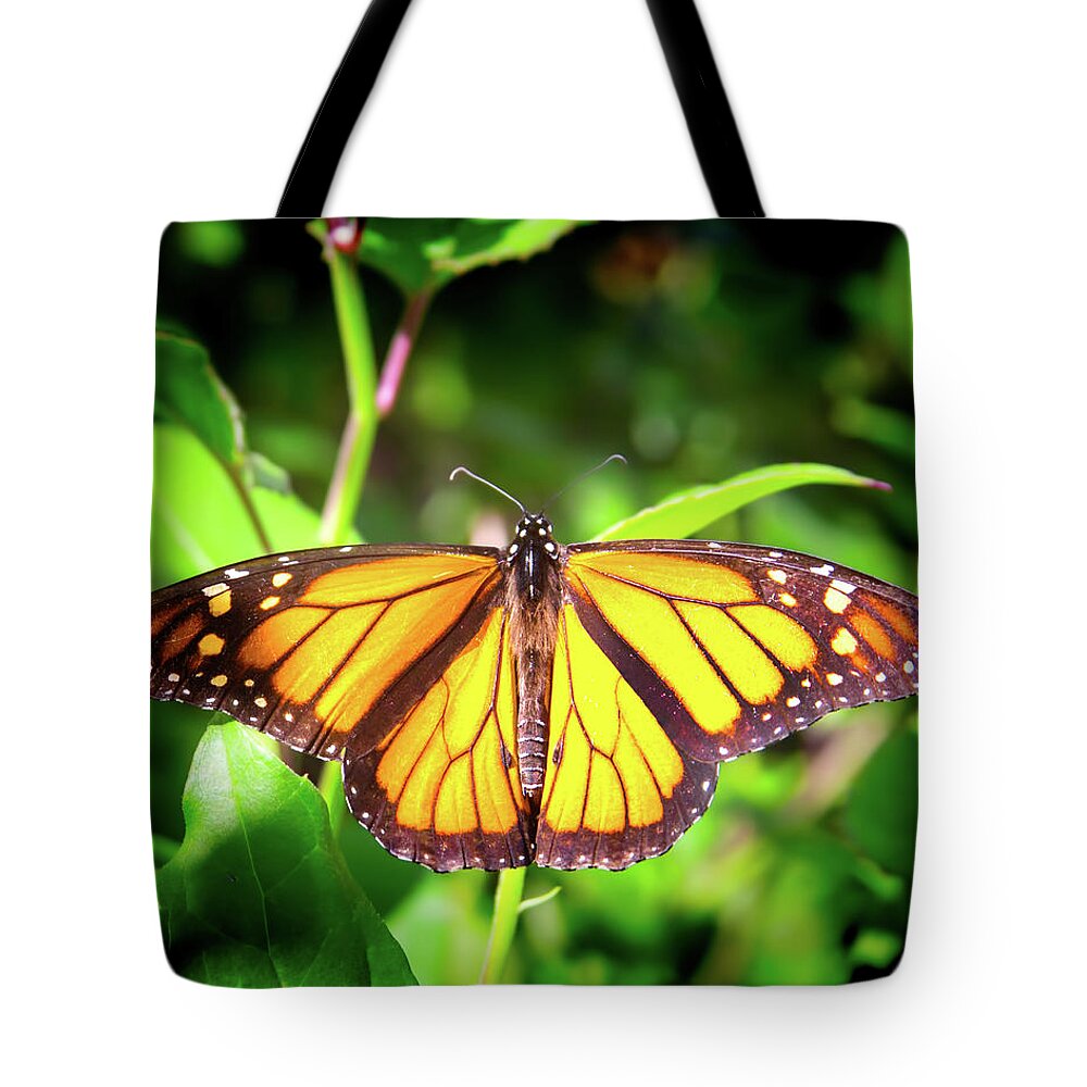 Butterfly Tote Bag featuring the photograph Garden of the Monarch by Mark Andrew Thomas