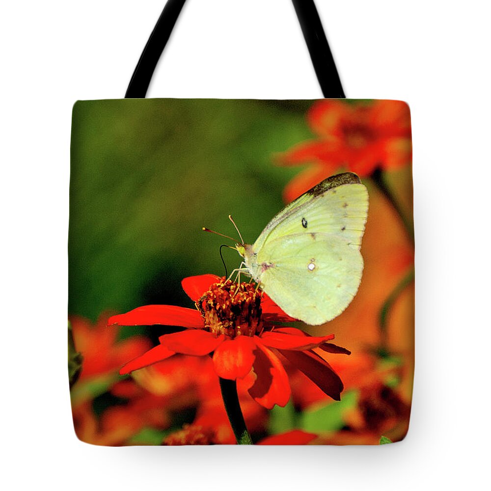 Butterfly Tote Bag featuring the photograph Garden Reverie by Rebecca Higgins
