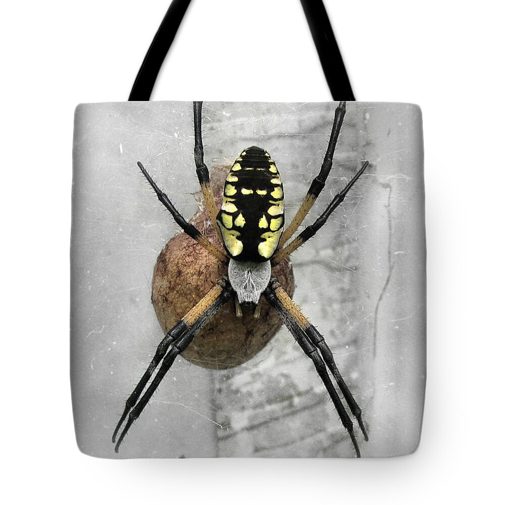 Spider Tote Bag featuring the photograph Garden Spider by Amber Flowers