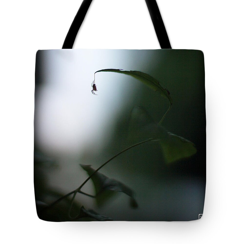 Spider Tote Bag featuring the photograph Garden Spider by John Meader
