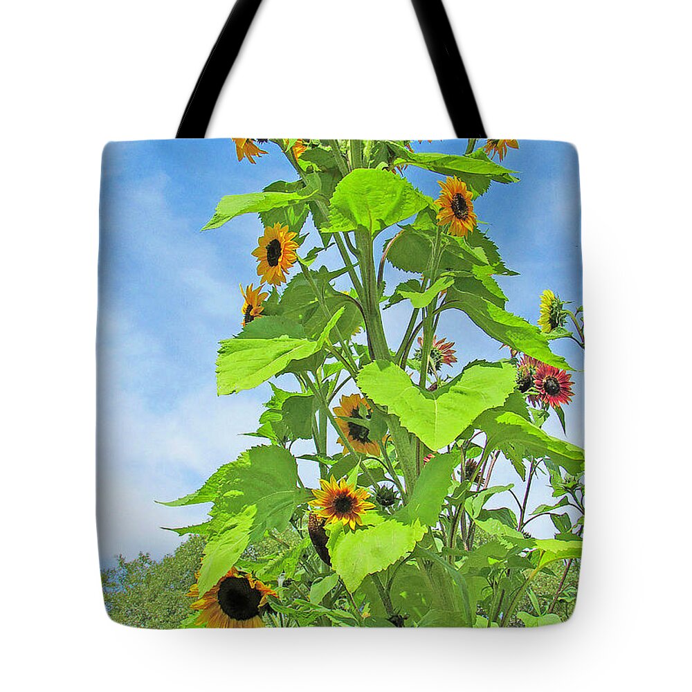 Flower Tote Bag featuring the photograph Garden Splendor by Joyce Creswell