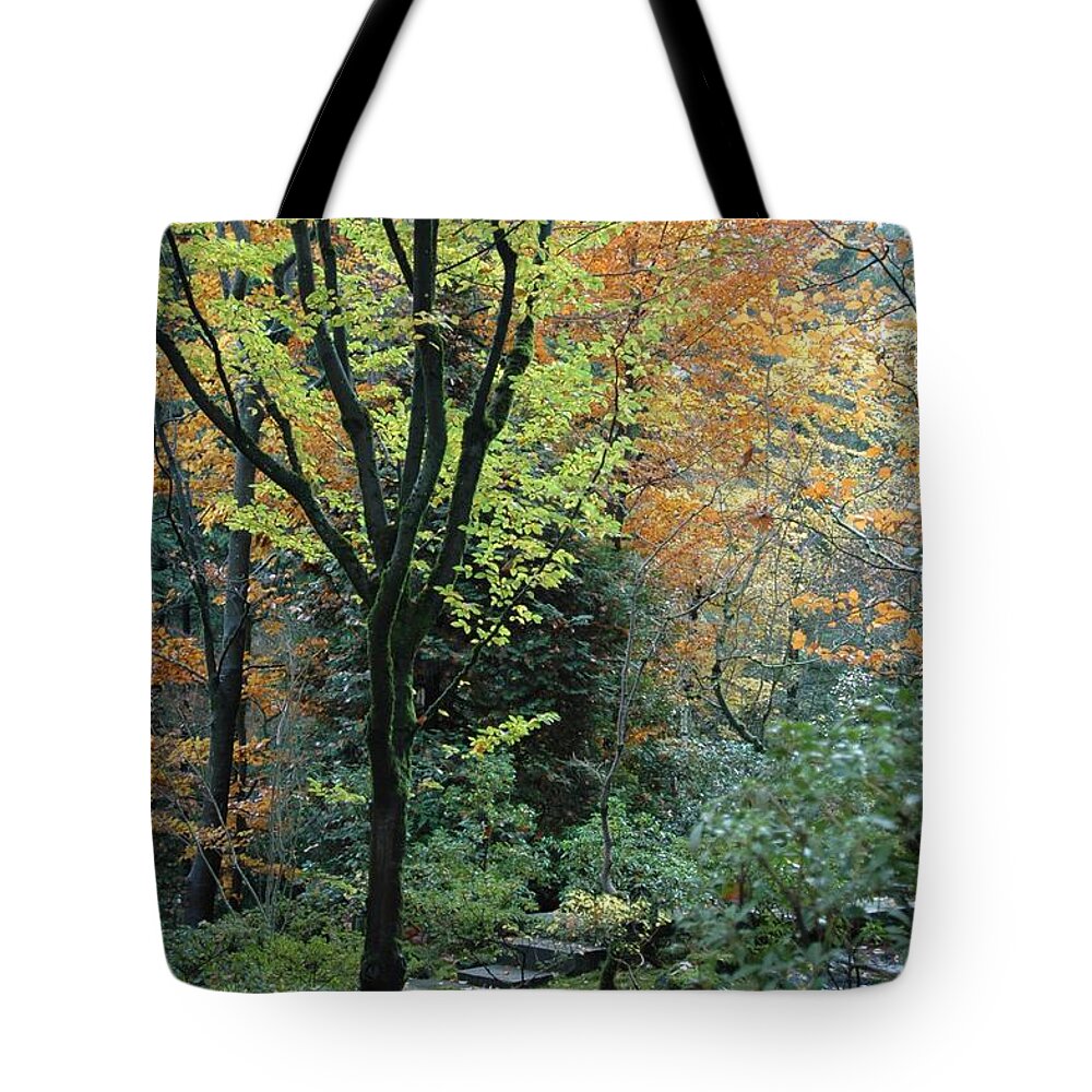 Fall Tote Bag featuring the photograph Garden Trees by Sara Stevenson