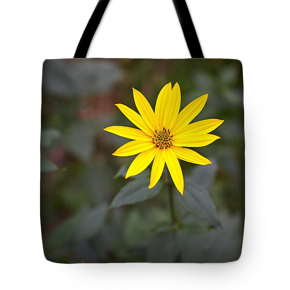Flower Tote Bag featuring the photograph Gardening melody by Antonio Ballesteros