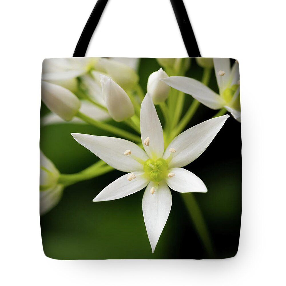 Wild Garlic Tote Bag featuring the photograph Garlic Flowers by Nick Bywater