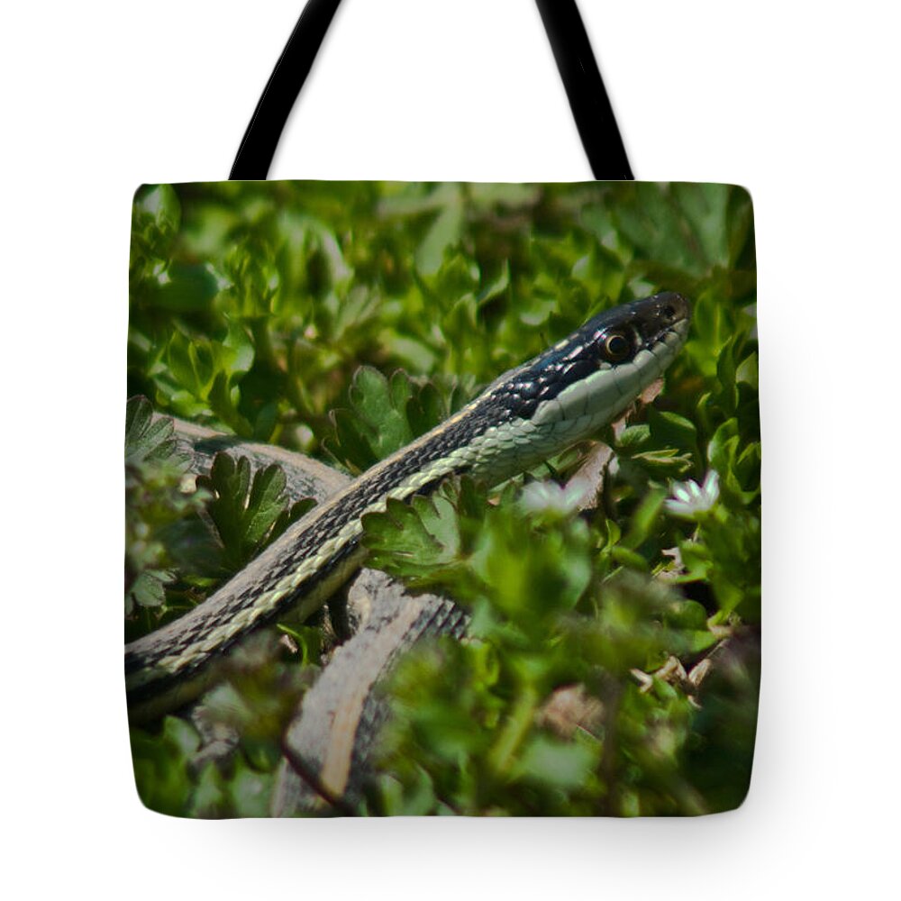 Arkansas Tote Bag featuring the photograph Garter Snake by Douglas Barnett