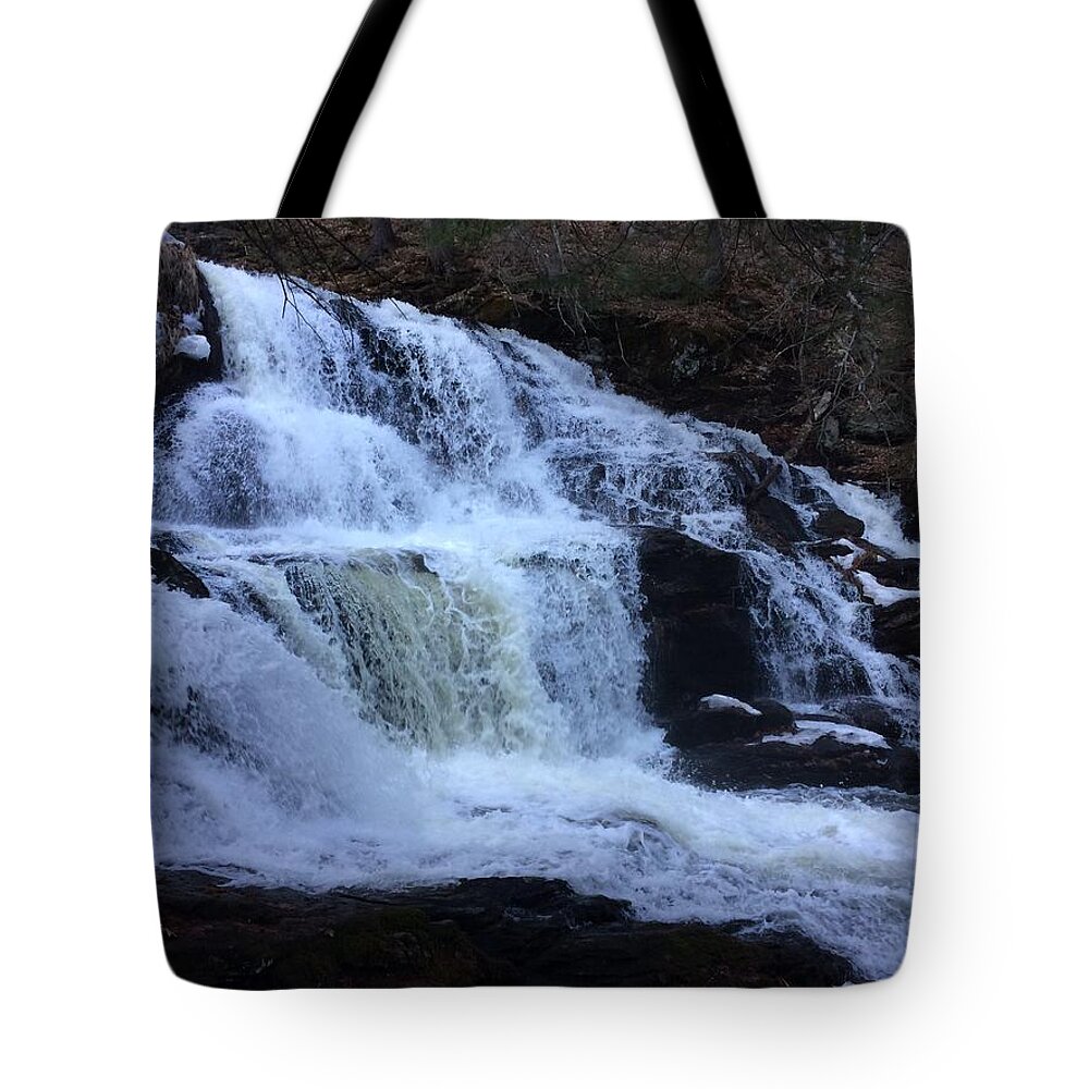 Waterfalls Tote Bag featuring the photograph Garwin Falls Spring Break by Anjel B Hartwell
