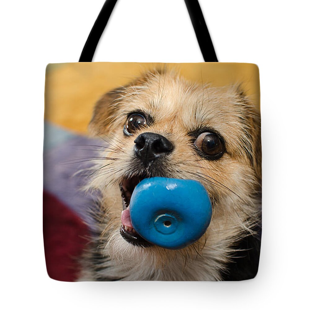 Dog Photography Tote Bag featuring the photograph Gas by Irina ArchAngelSkaya
