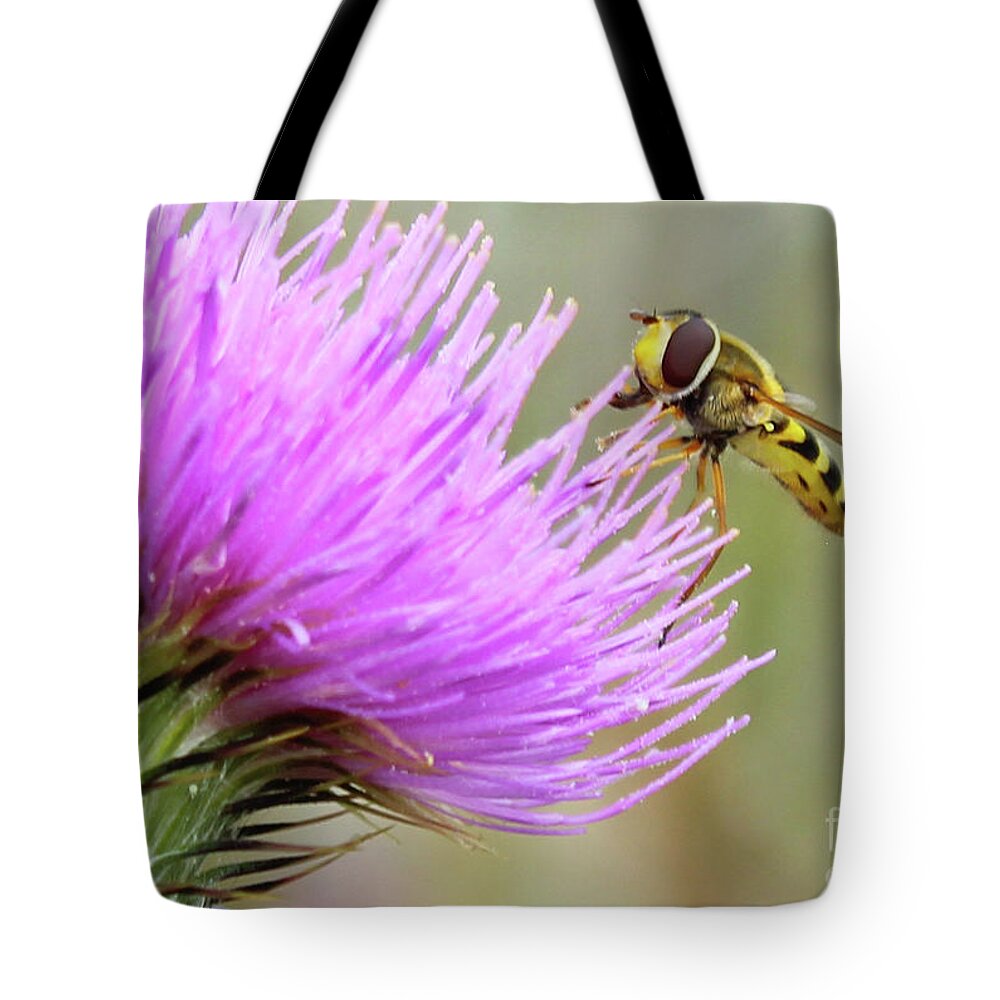 Donegal On Your Wall Tote Bag featuring the photograph Gather It Up Donegal Bee Thistle by Eddie Barron