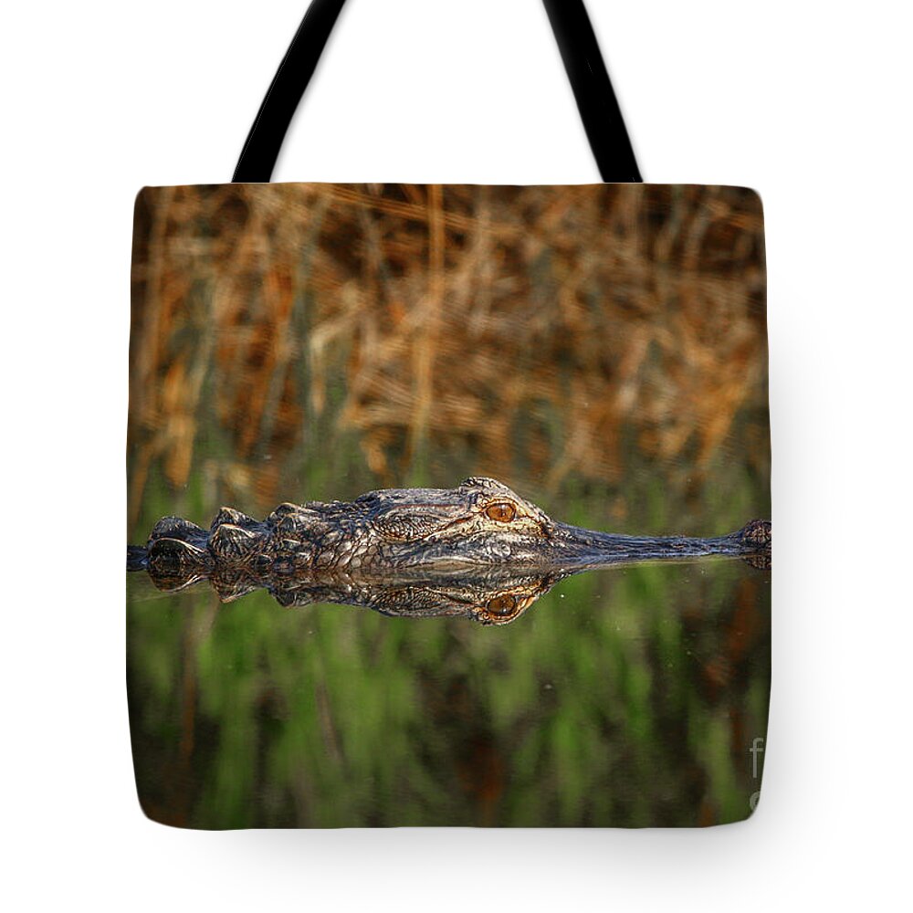 Gator Tote Bag featuring the photograph Gator in Canal by Tom Claud