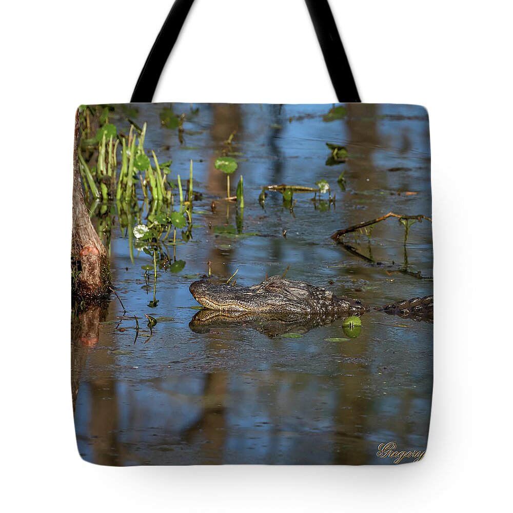 Ul Tote Bag featuring the photograph Gator in Cypress Lake 3 by Gregory Daley MPSA