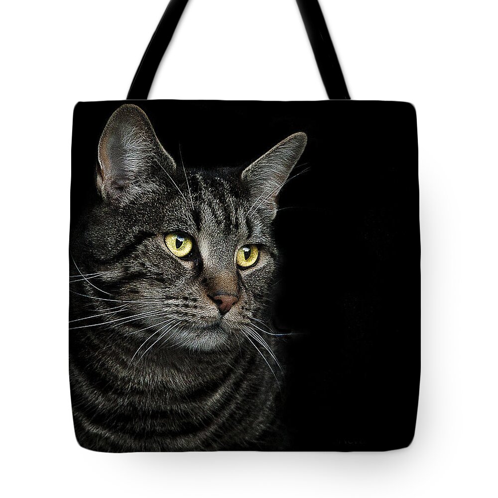 Cat Tote Bag featuring the photograph Gaze by Paul Neville
