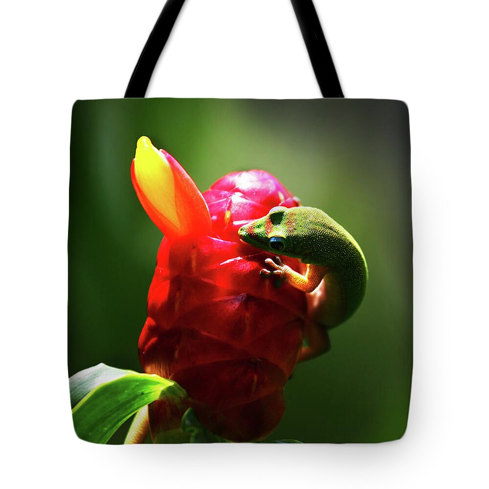 Hawaii Tote Bag featuring the photograph Gecko #1 by Anthony Jones