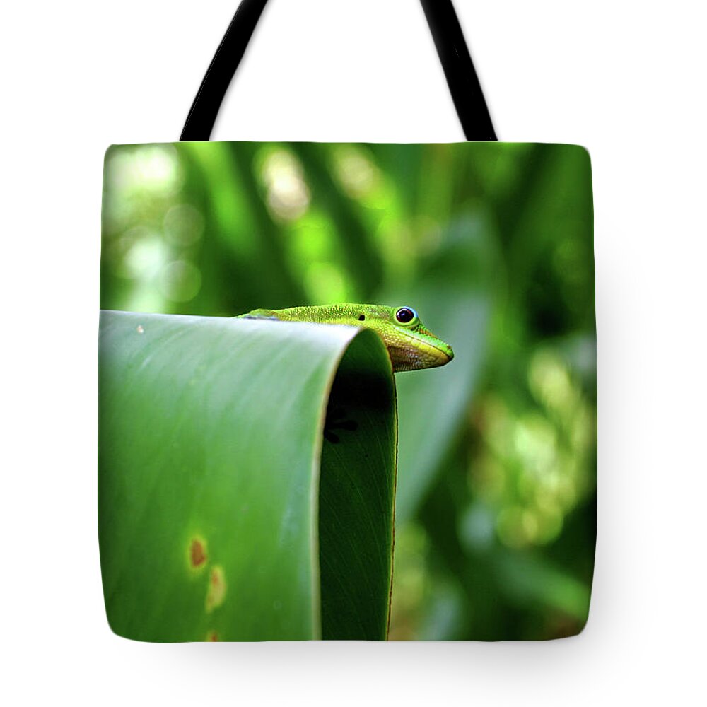 Hawaii Tote Bag featuring the photograph GeckoOverlook by Anthony Jones