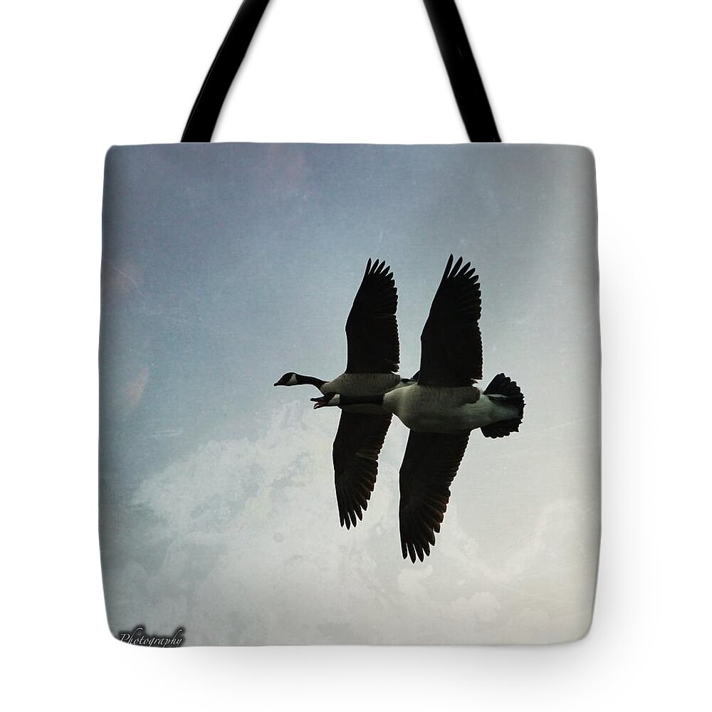  Tote Bag featuring the photograph Geese by Elizabeth Harllee