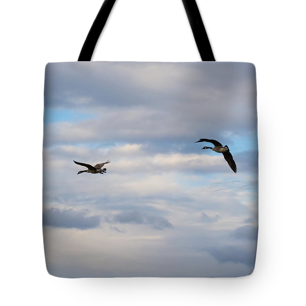 Canada Geese Tote Bag featuring the photograph Geese in the Clouds by Holden The Moment