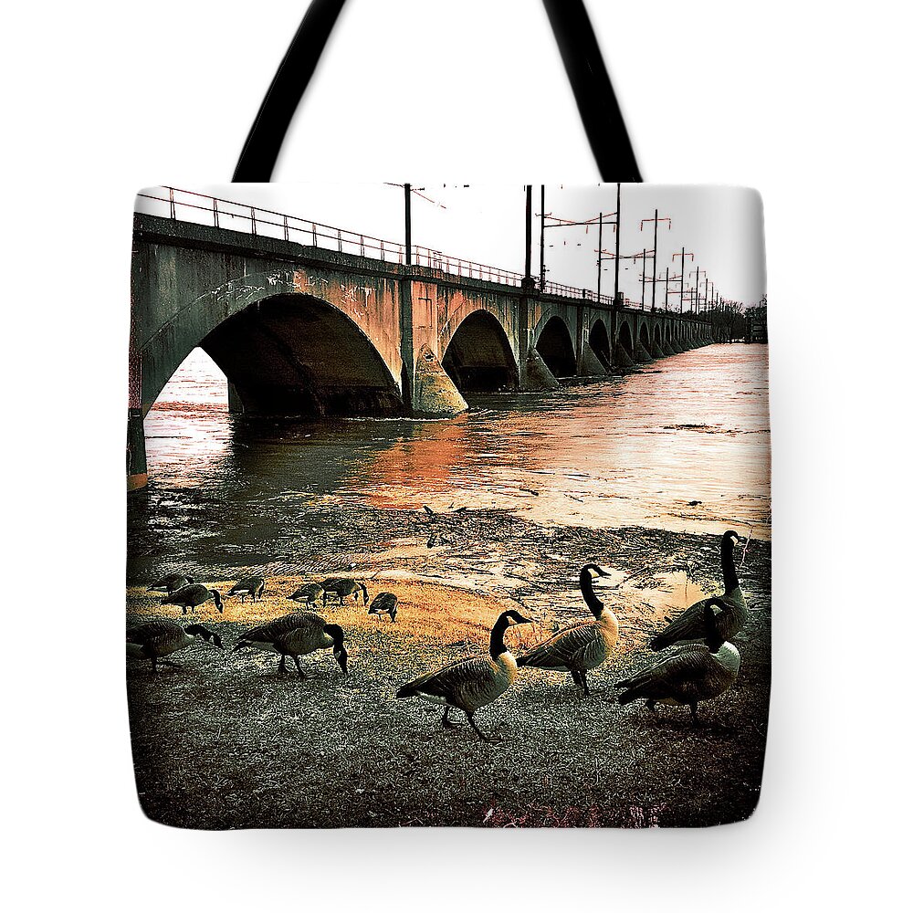 Geese Tote Bag featuring the photograph Geese On A Stroll by Kevyn Bashore