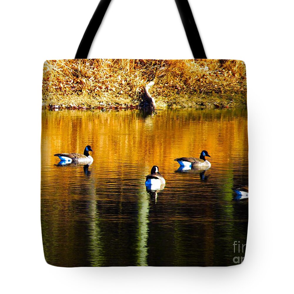 Geese Lake Water Photo Photograph Wildlife Wild Life Fowl Waterfowl Fall Gold Tote Bag featuring the photograph Geese on Lake by Craig Walters