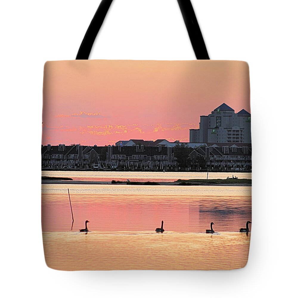 Animals Tote Bag featuring the photograph Geese Swimming on Isle of Wight Bay by Robert Banach
