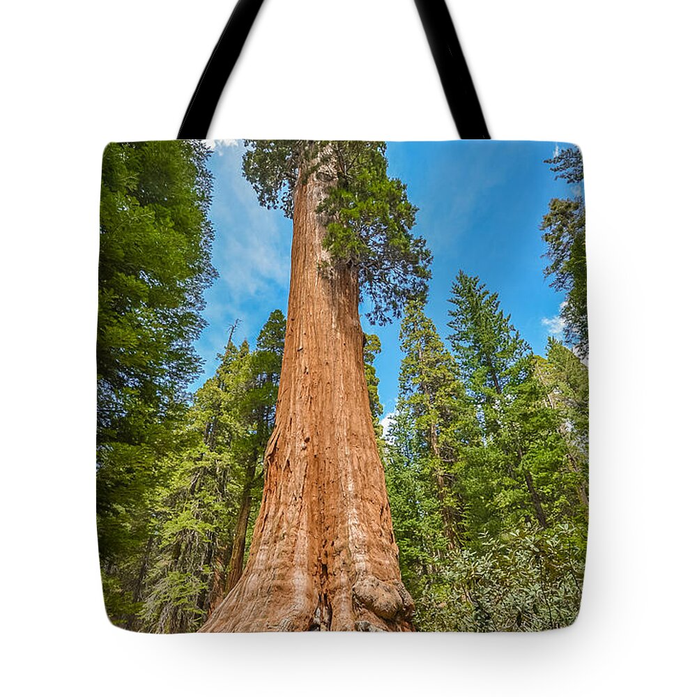 Sequoia National Park Tote Bag featuring the photograph General Grant by Asif Islam