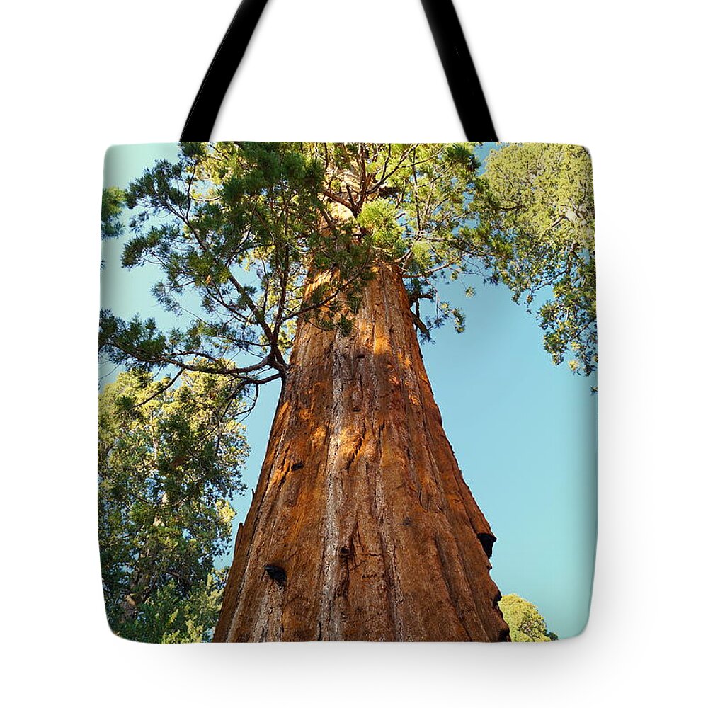 California Tote Bag featuring the photograph General Sherman Tree by Beth Collins