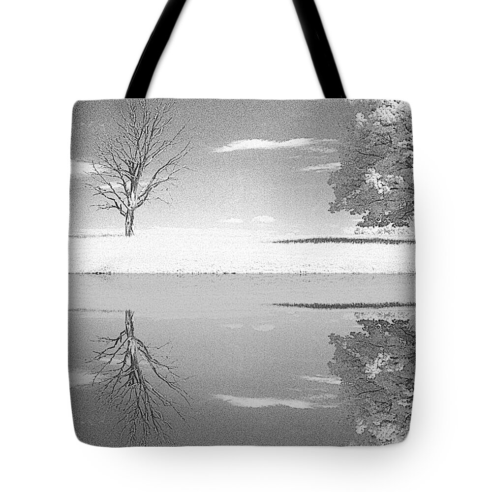 Infrared Tote Bag featuring the photograph Generation Gap by Jim Cook
