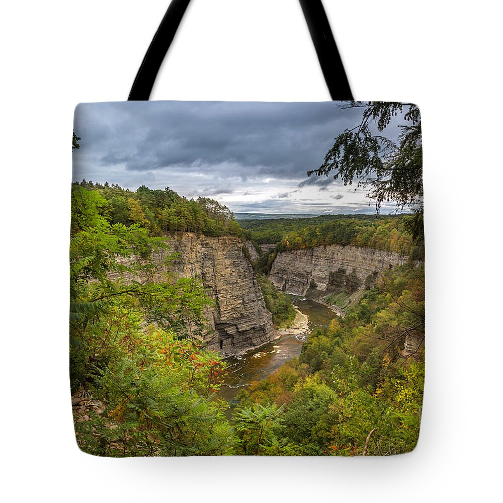 New York Tote Bag featuring the photograph Genesee River Overlook by Karen Jorstad
