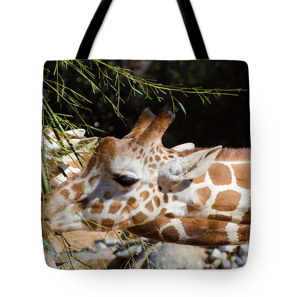 Giraffe Tote Bag featuring the photograph Gentle Beauty by Donna Brown