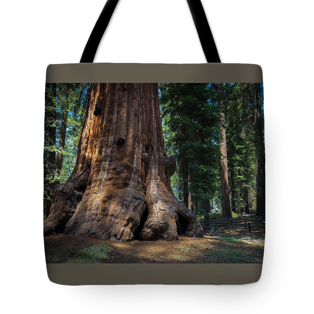 Laura Roberts Tote Bag featuring the photograph Gentle Giant by Laura Roberts
