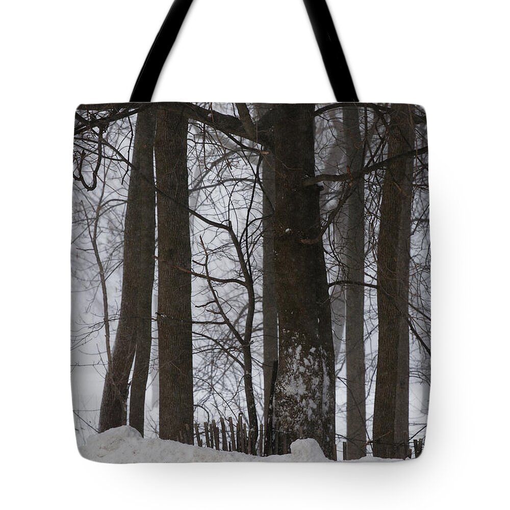 Woods Tote Bag featuring the photograph Gentle Giants by Linda Shafer