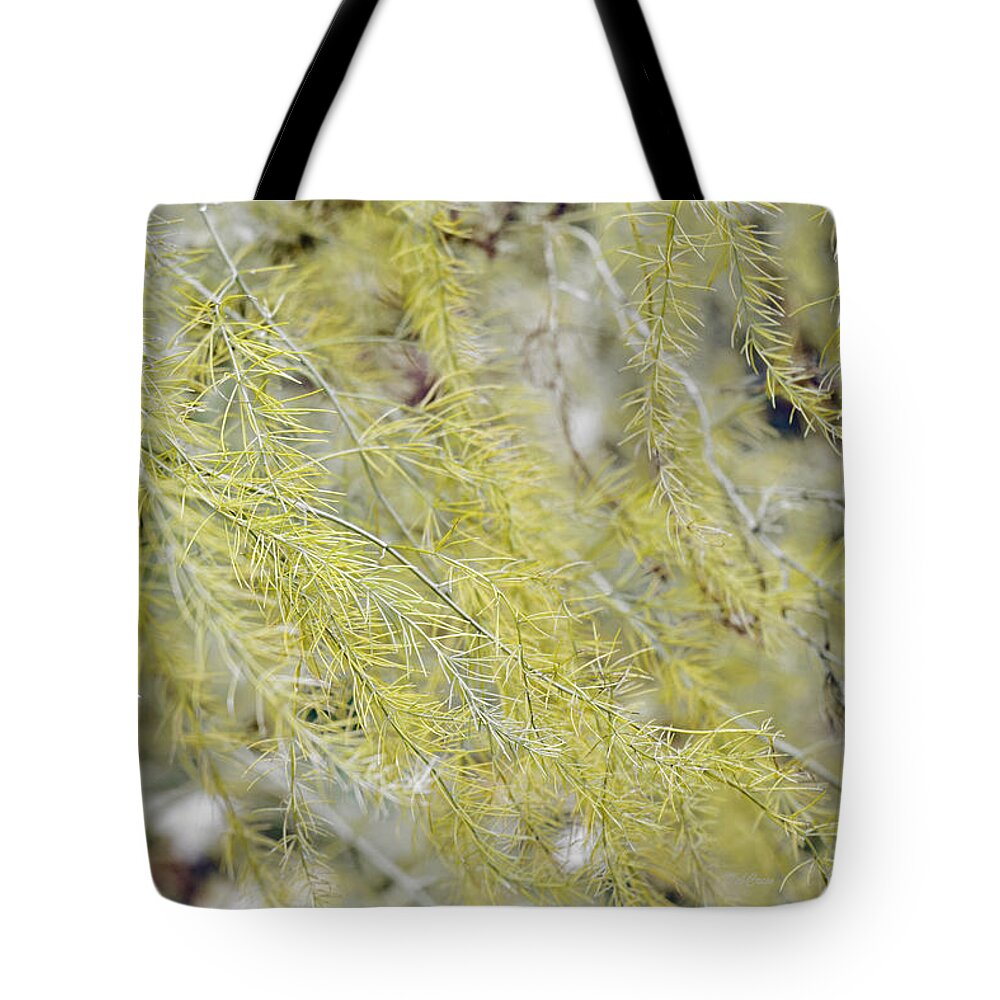 Foliage Tote Bag featuring the photograph Gentle Weeds by Deborah Crew-Johnson