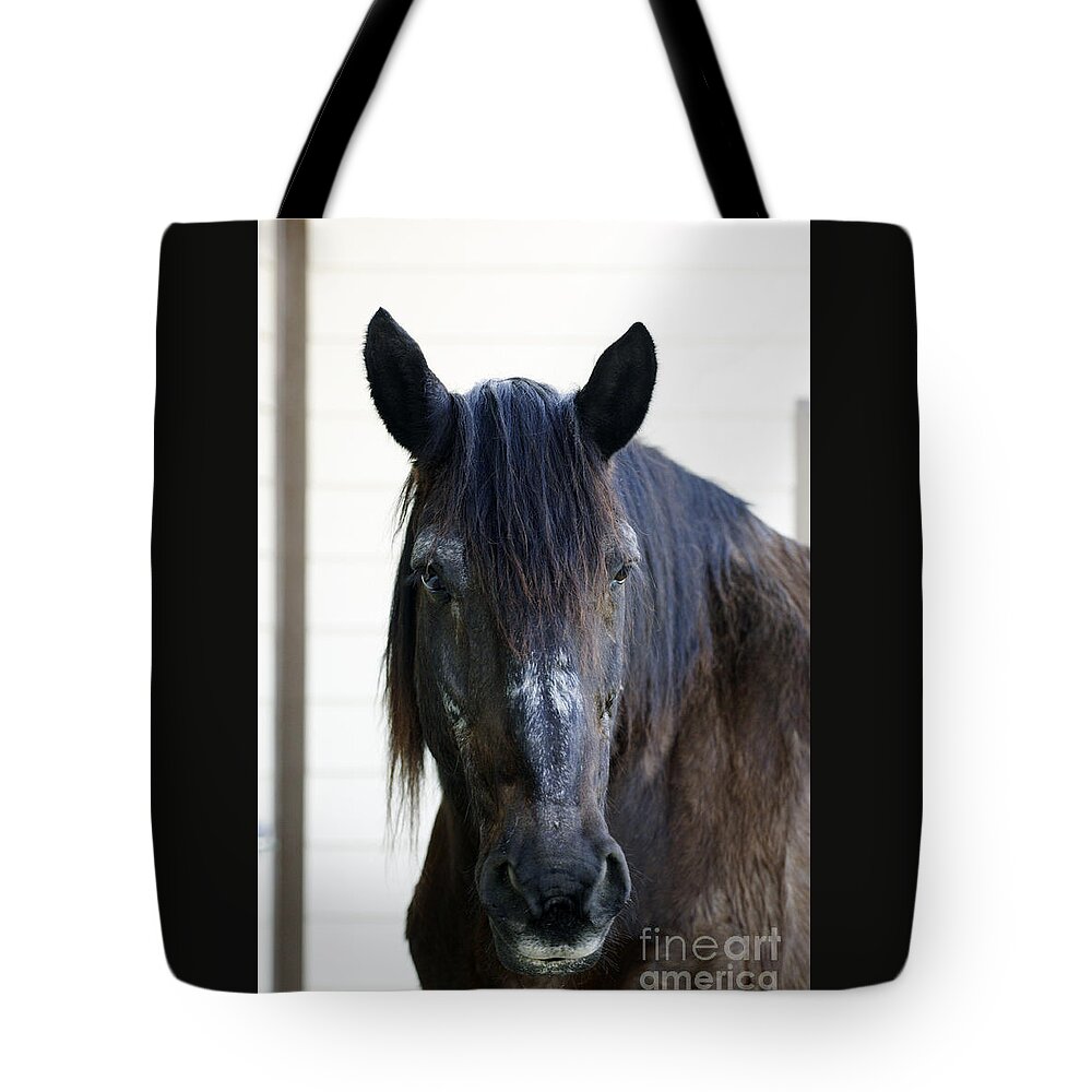Beauty's Haven Tote Bag featuring the photograph Gentleman by Carien Schippers