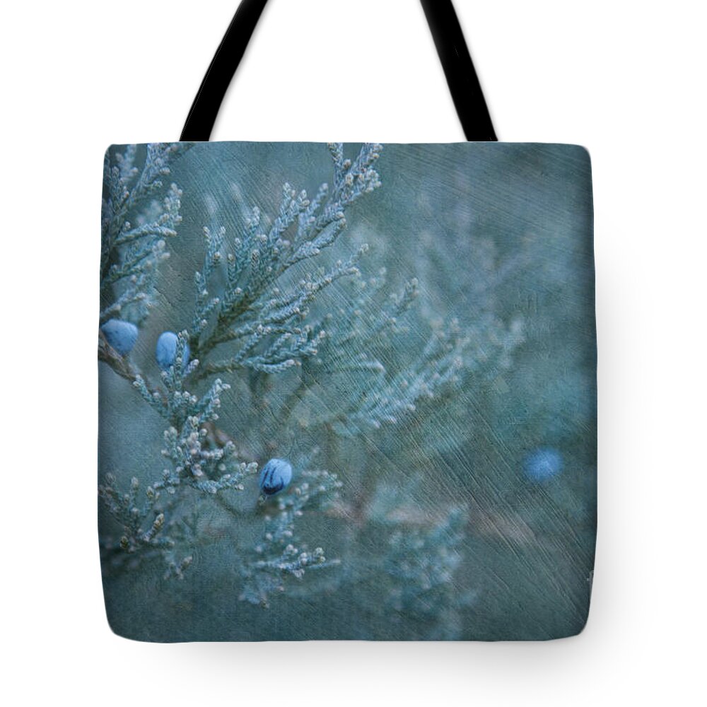Juniper Tote Bag featuring the photograph In the Night by Marilyn Cornwell