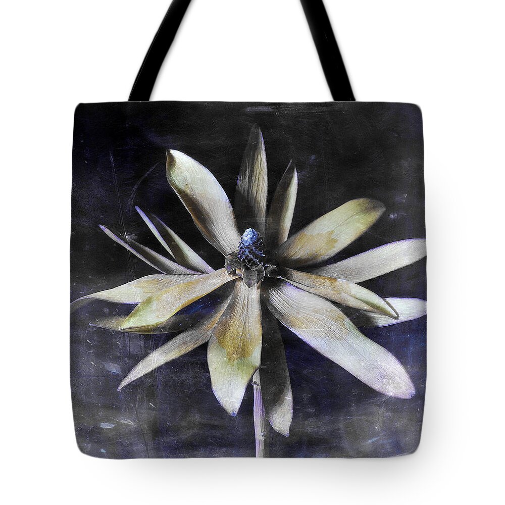 Flora Tote Bag featuring the photograph Genus Protea by Wayne Sherriff