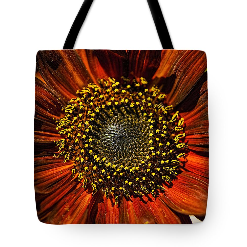 Flowers Tote Bag featuring the photograph Gerber Daisy Full On by Roger Passman