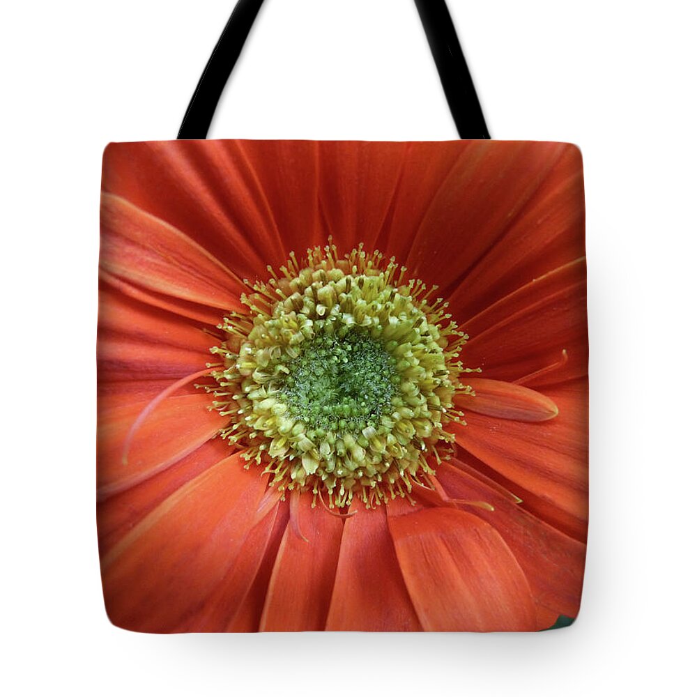 Flower Tote Bag featuring the photograph Gerber Daisy by Geraldine Alexander