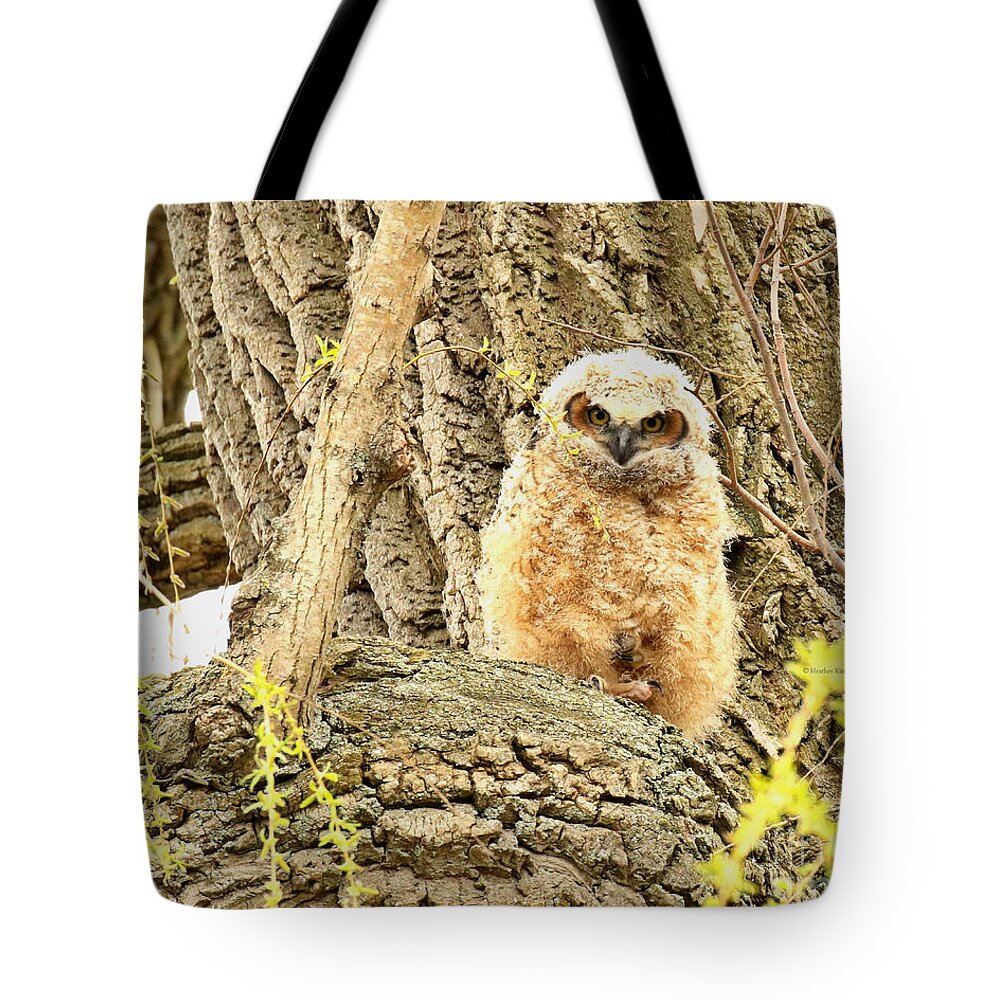 Owls Tote Bag featuring the photograph Get A Grip by Heather King
