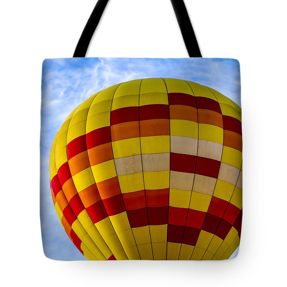 Colorado Tote Bag featuring the photograph Getting Ready for Take Off by Teri Virbickis