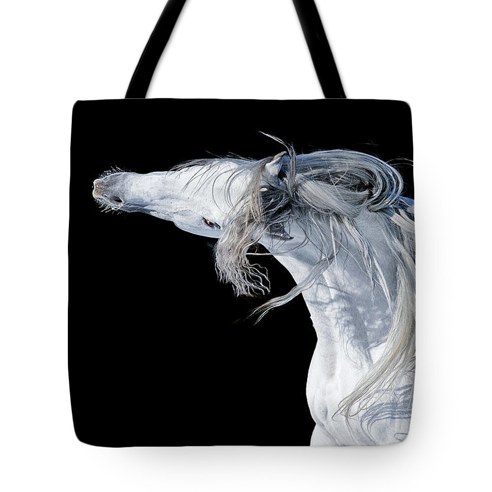 Russian Artists New Wave Tote Bag featuring the photograph Ghost II by Ekaterina Druz