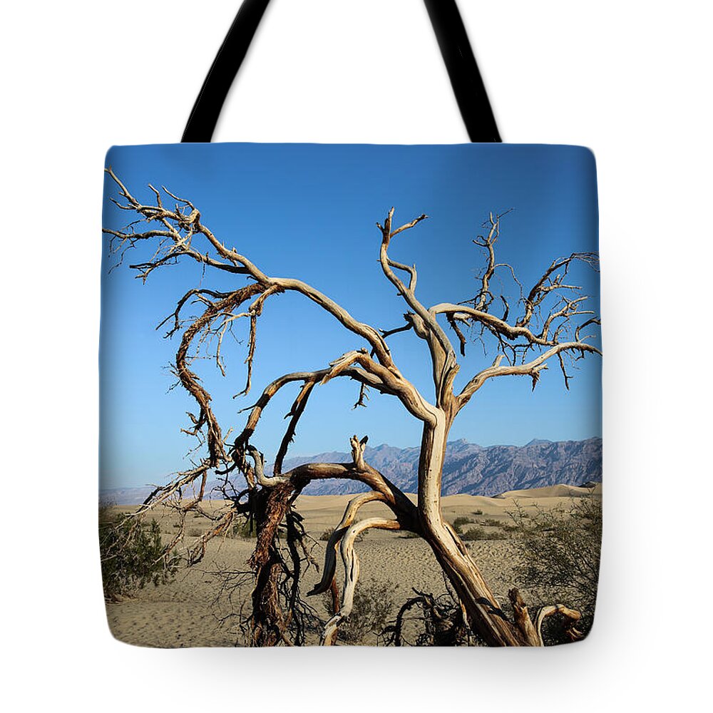 Mesquite Dunes Tote Bag featuring the photograph Ghost Tree by Suzanne Luft