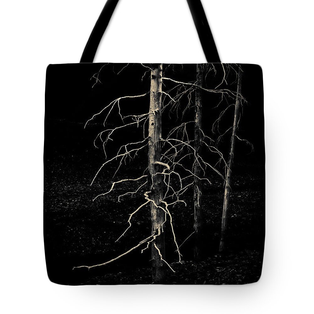 Trees Tote Bag featuring the photograph Ghost Trees by Fred Denner