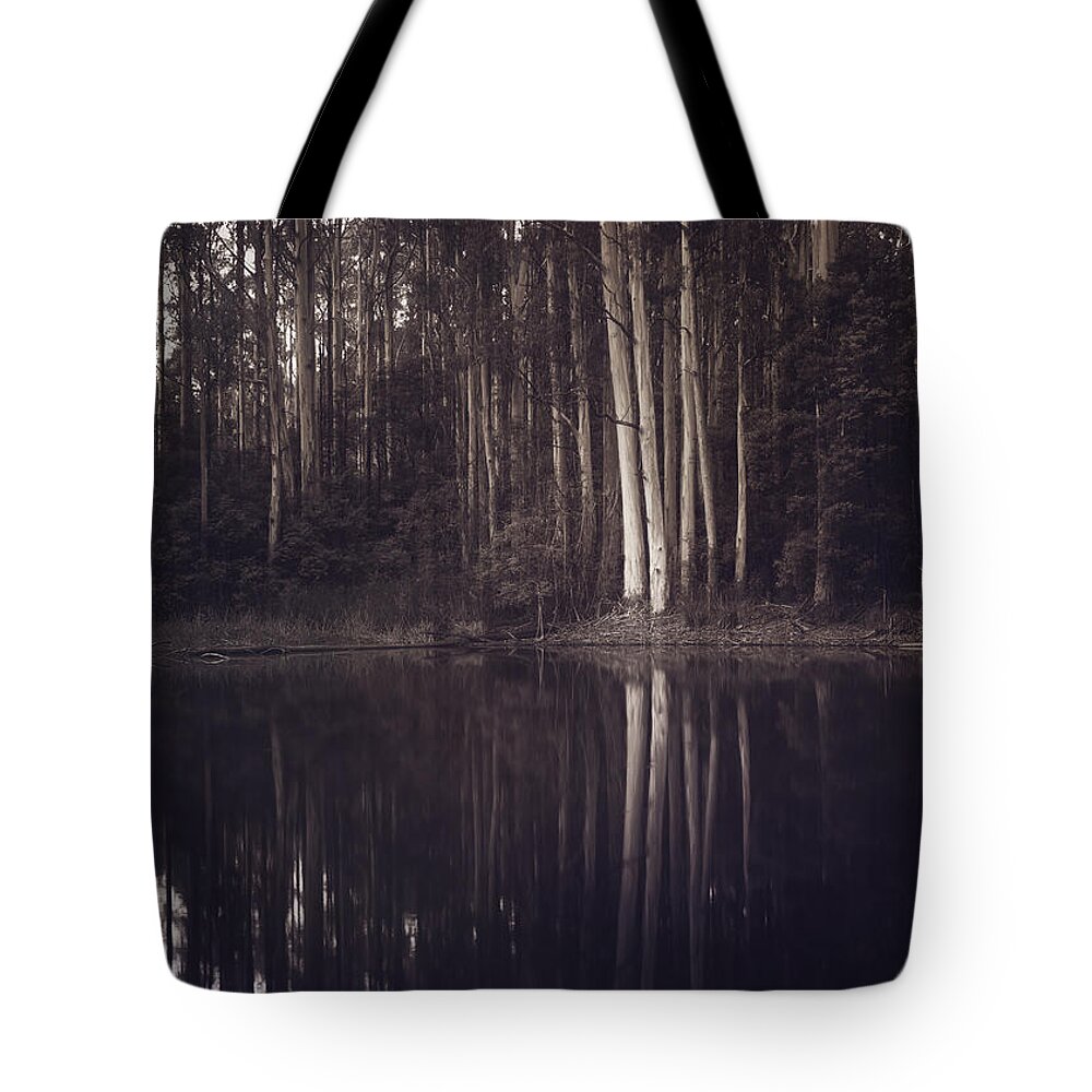 Trees Tote Bag featuring the photograph Ghosts of my Heart by Amy Weiss