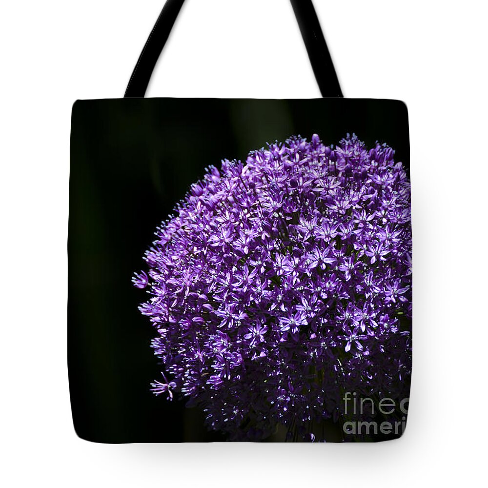 Flower Tote Bag featuring the photograph Giant Allium by Andrea Silies