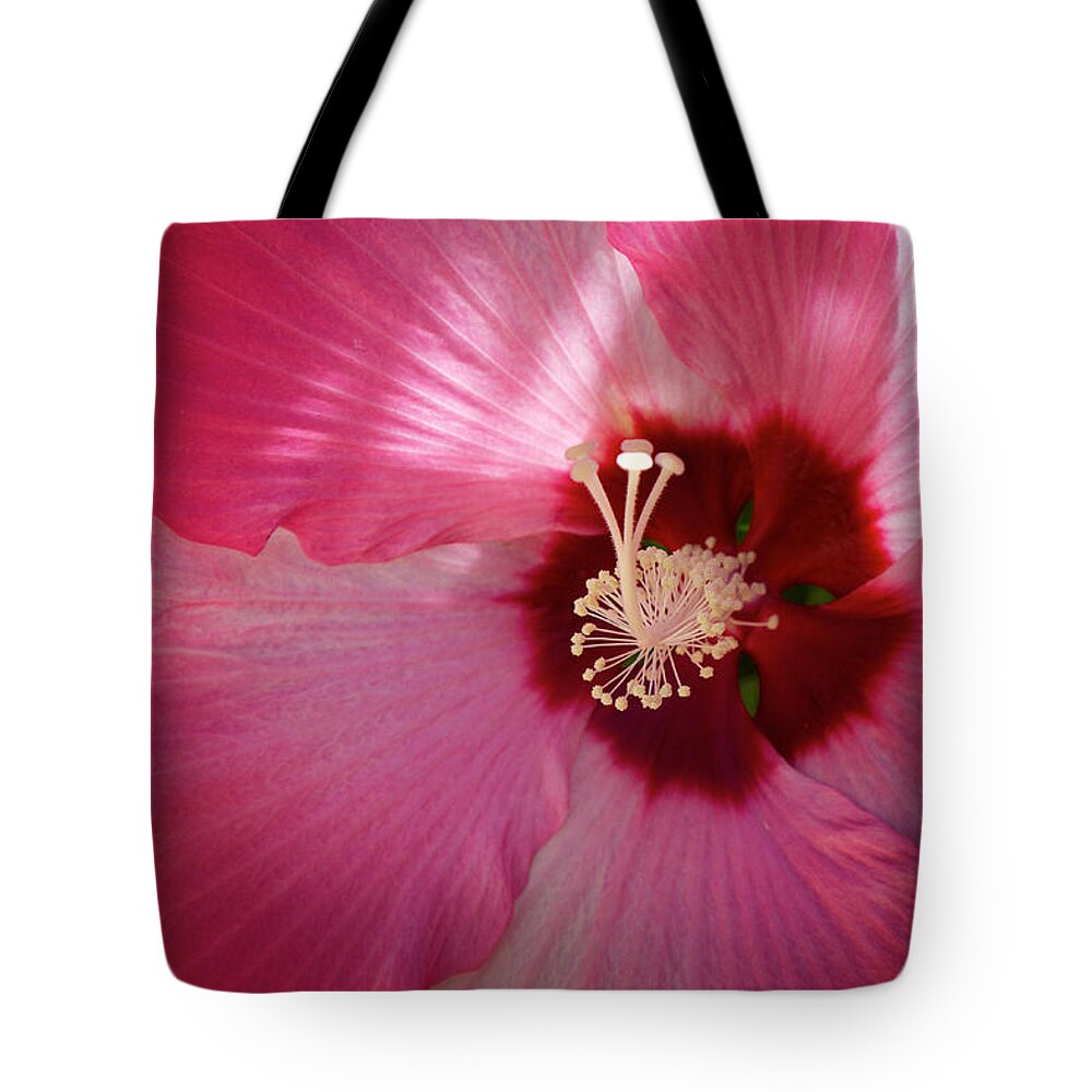 China Rose Tote Bag featuring the photograph Giant Hibiscus by Mary Lee Dereske