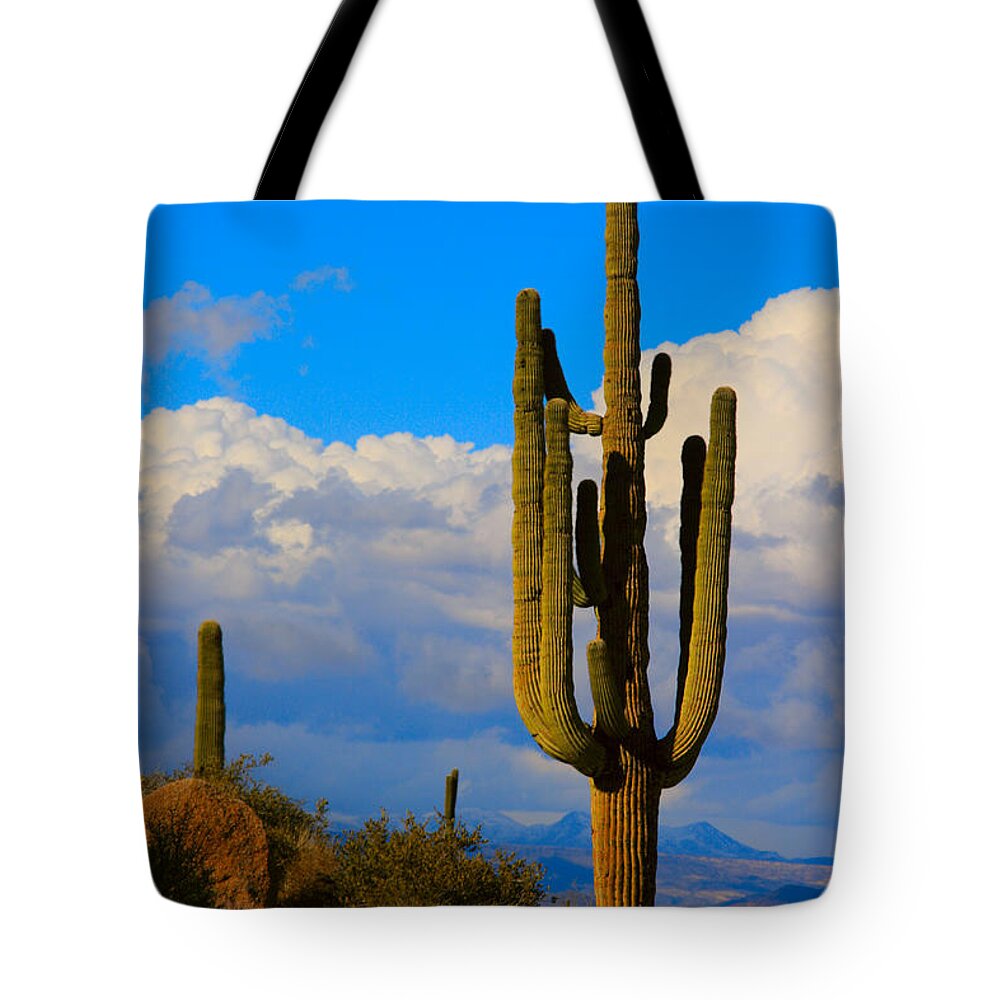 Saguaro Tote Bag featuring the photograph Giant Saguaro in the Southwest Desert by James BO Insogna