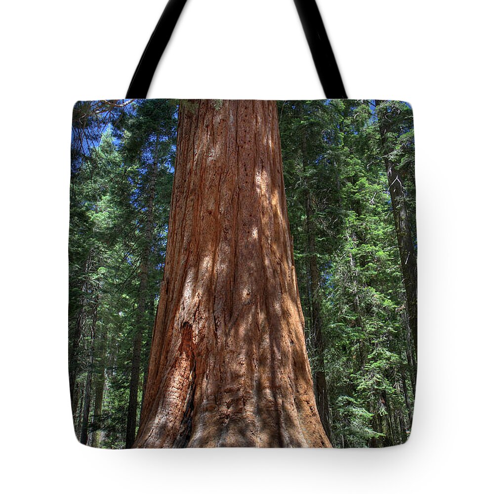 Yosemite Tote Bag featuring the photograph Giant Sequoia in Yosemite National Park by Pierre Leclerc Photography