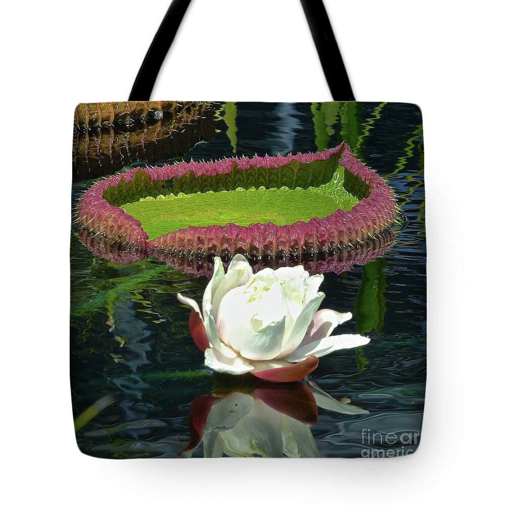 Water Lily Tote Bag featuring the photograph Giant Water Lily Blossom by Jean Wright