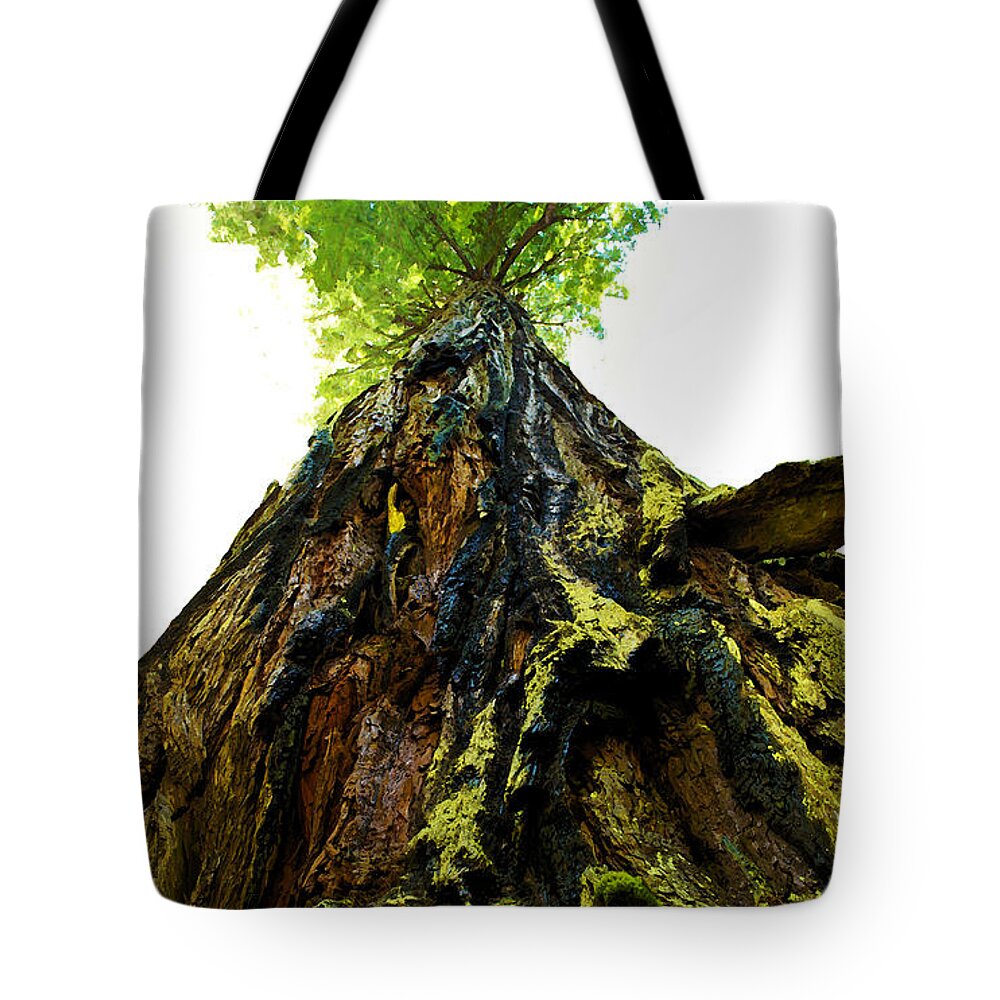 Humboldt County Tote Bag featuring the photograph Giants of the Earth by Susan Vineyard