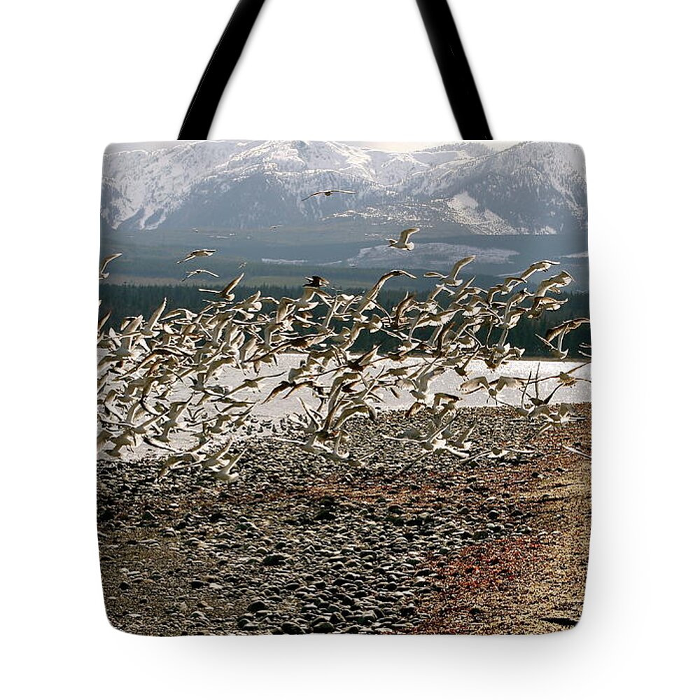 Herring Tote Bag featuring the photograph Gift From The Sea by Alicia Kent