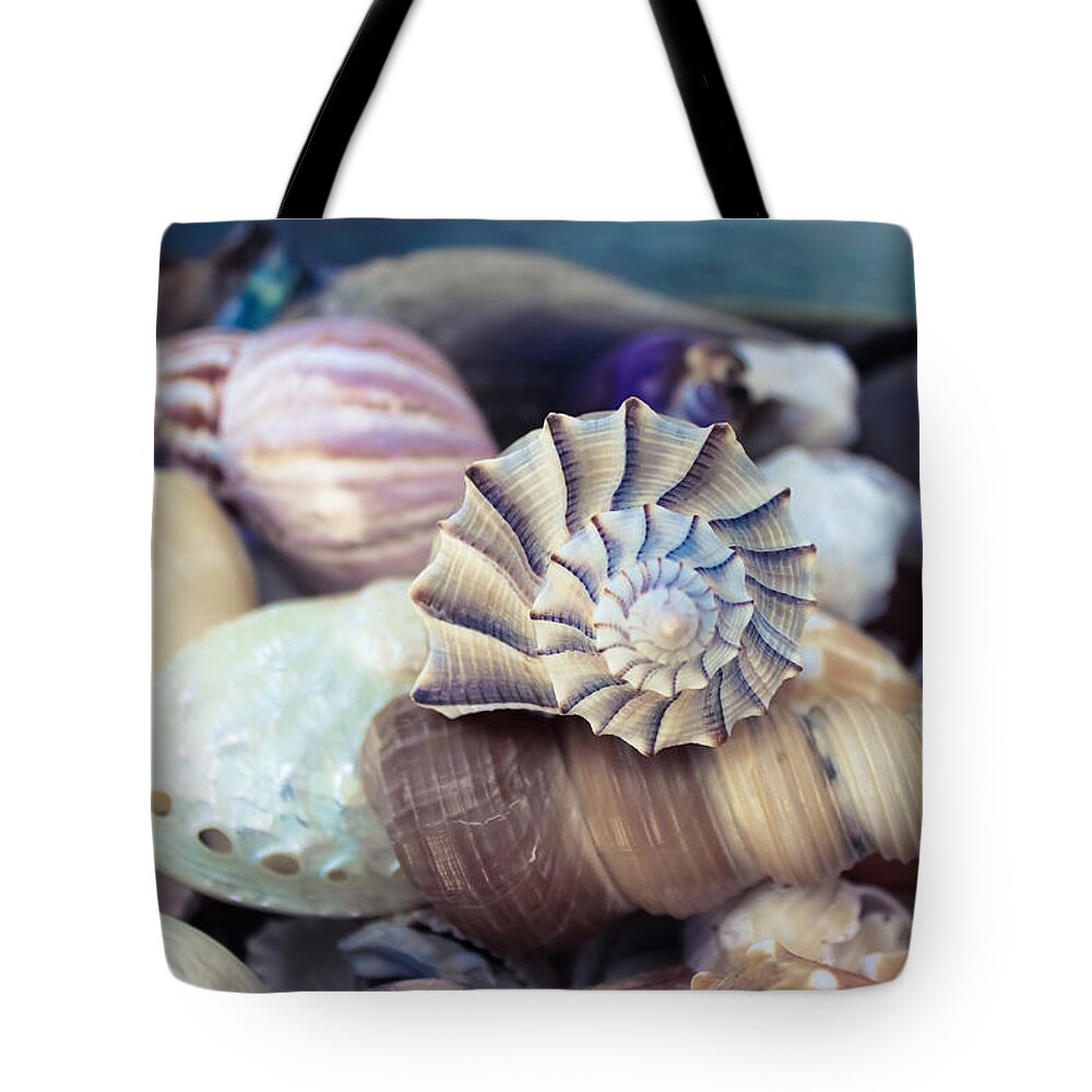 Seahells Tote Bag featuring the photograph Gifts from the Sea by Colleen Kammerer