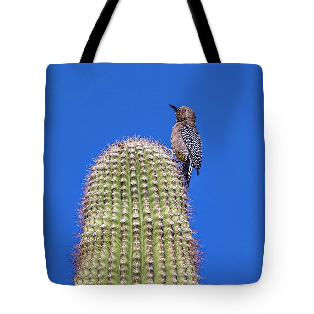 Gila Woodpecker Tote Bags